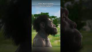 Необычные Древние Люди Homo Naledi #Эволюция #Антропология