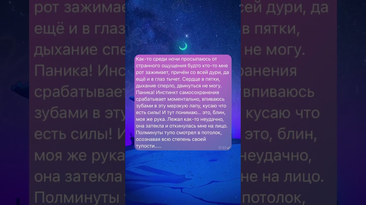 Интересный факт ❗️ Утка крякает, и эхо не отзывается. 🦆