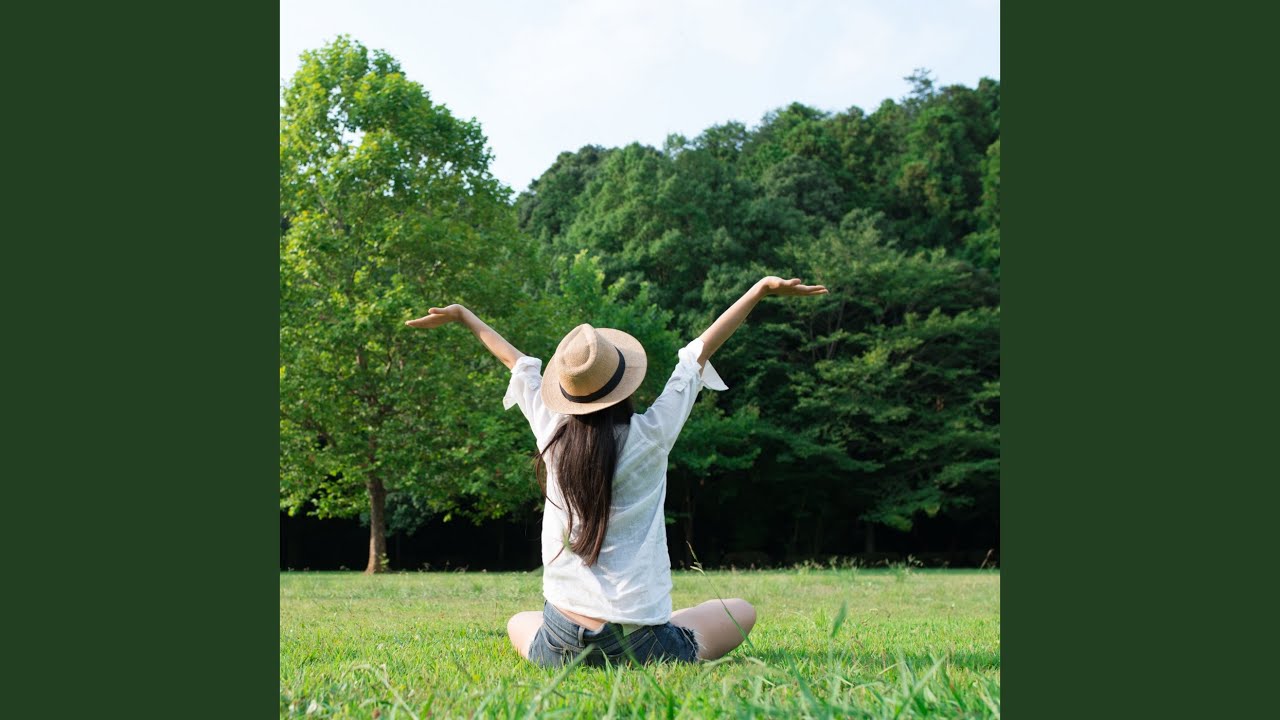 Tranquil Waterside Melodies