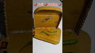 Amazing Chili Cutting Machine | DIY Workshop Project #shorts
