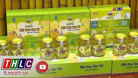 Quản lý thương hiệu mật ong hoa bạc hà – vấn đề cần thực hiện sớm | THLC