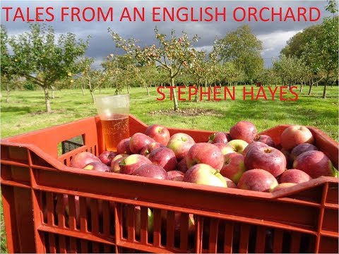 My orchard book is now live on Kindle