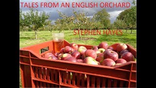 My orchard book is now live on Kindle
Finally! Tales From an English Orchard priced $5 or £3.77 is now live to download from Kindle with 130,000 words plus many images and hyperlinks to my videos and other resources. It is a mix of storytelling, apple history, practical advice and autobiography. Important sections include descriptions of the apples, pruning, grafting and an extensive bibliography which reviews all the important books that influenced us. Some controversies addressed, the most contentious material is in appendices so can be avoided. Full table of contents. I hope my subscribers will buy this, all profits will go to Tree Aid which helps poor Africans improve their circumstances and the local environment by growing trees along the southern edge of the Sahara. If you like the book, please post positive reviews and share via Facebook and any other networks.
https://www.amazon.co.uk/Tales-English-Orchard-Stephen-Hayes-ebook/dp/B0765MZV5Z/ref=sr_1_1?s=digital-text&ie=UTF8&qid=1507373003&sr=1-1&keywords=tales+from+an+english+orchard My orchard book is now live on Kindle