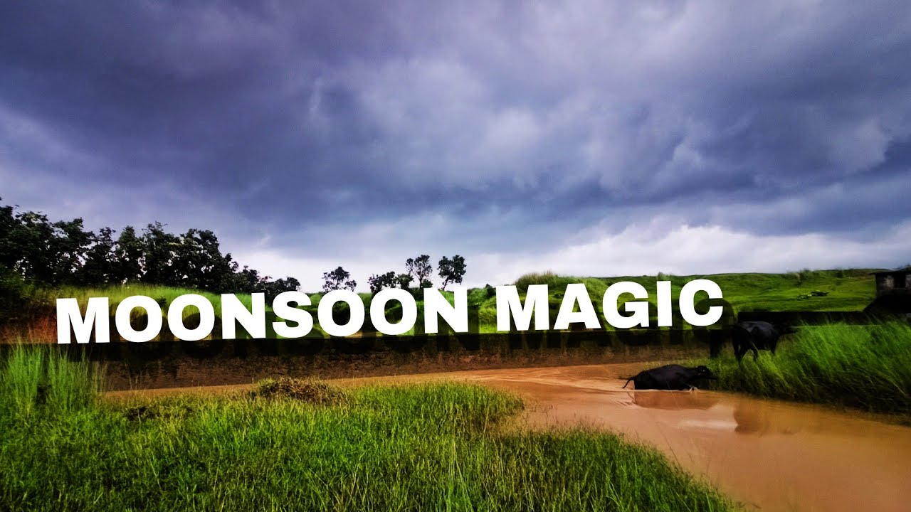MOONSOON MAGIC ✨ IN A VILLAGE OF JHARKHAND