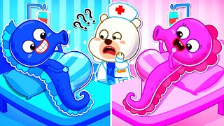 Chequeo Médico Caballito de Mar Rosa VS Azul, ¿Quién Tiene Bebés en el Vientre? Dibujos Animados