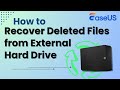 How to Recover Deleted Files from External Hard Drive | ✨ Proven