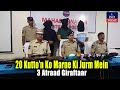 20 Kutto’n Ko Marne Ki Jurm Mein 3 Afraad Giraftaar | IND Today