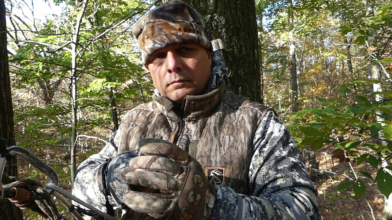 My favorite way to carry milkweed to check wind YouTube