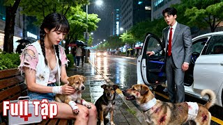 Download Lagu Ông trùm máu lạnh không gần nữ sắc, lại đem cô tiểu thư bị ruồng bỏ về cưng chiều tận trời! MP3