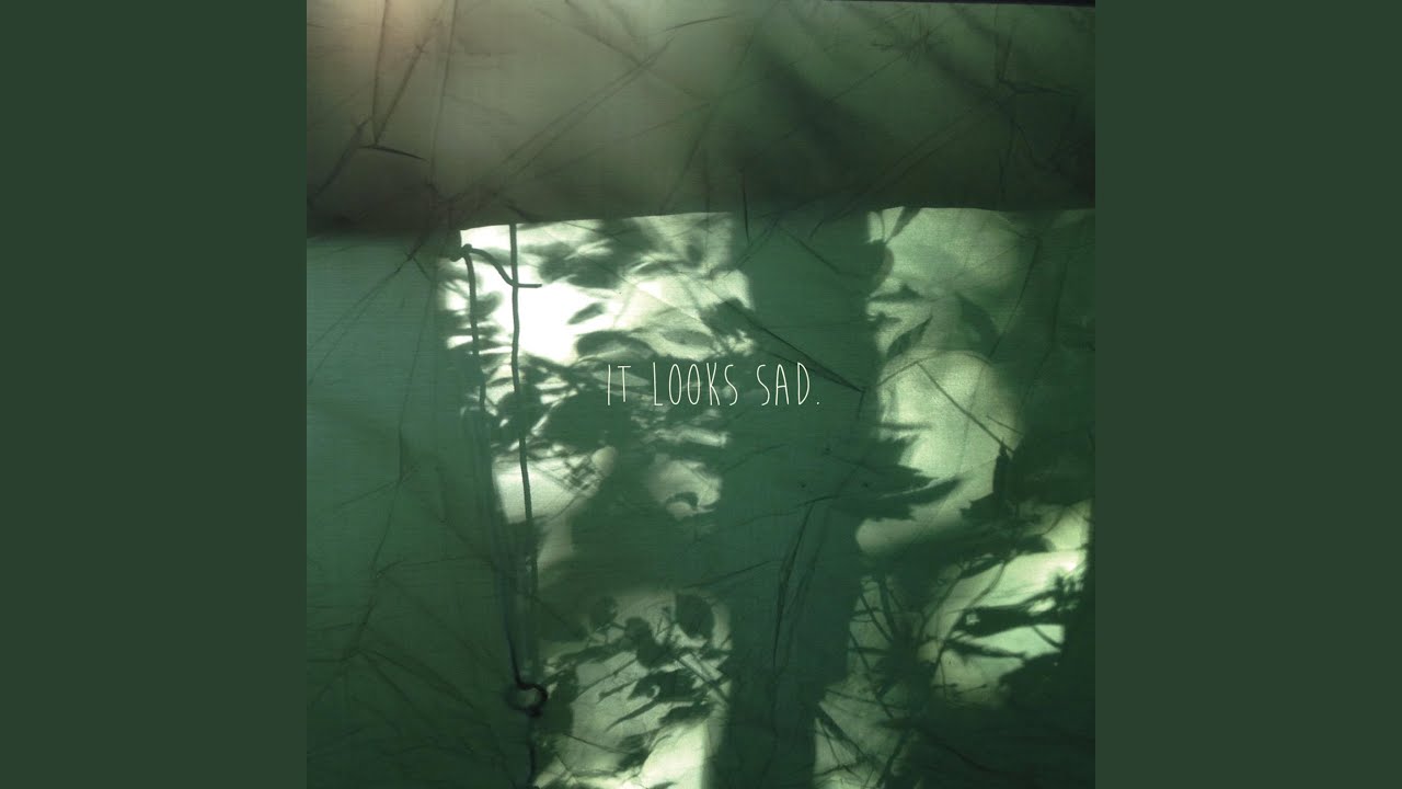 在 YouTube 上观看 Raccoon 在 YouTube 上观看 Raccoon