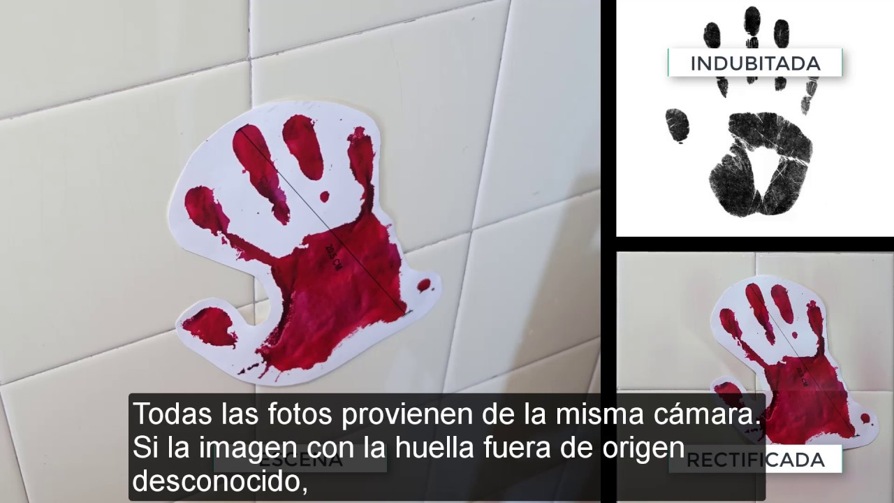 forensic deutsch sangreManoAzulejo