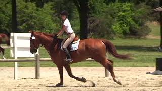 2018-05-13 Cvsja - Mea