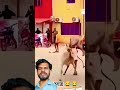 Alag level 🎚️ ka banda 😂 #funny #mbstudiox