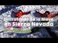 Autofamilia: Disfrutando de la Nieve en Sierra Nevada