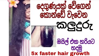 දෙගුණයක් වේගෙන් හිසකෙස් වවන කලුදුරු හෙයා ඔයිල් | Blackseed hair oil for  hair growth sinhala beauty