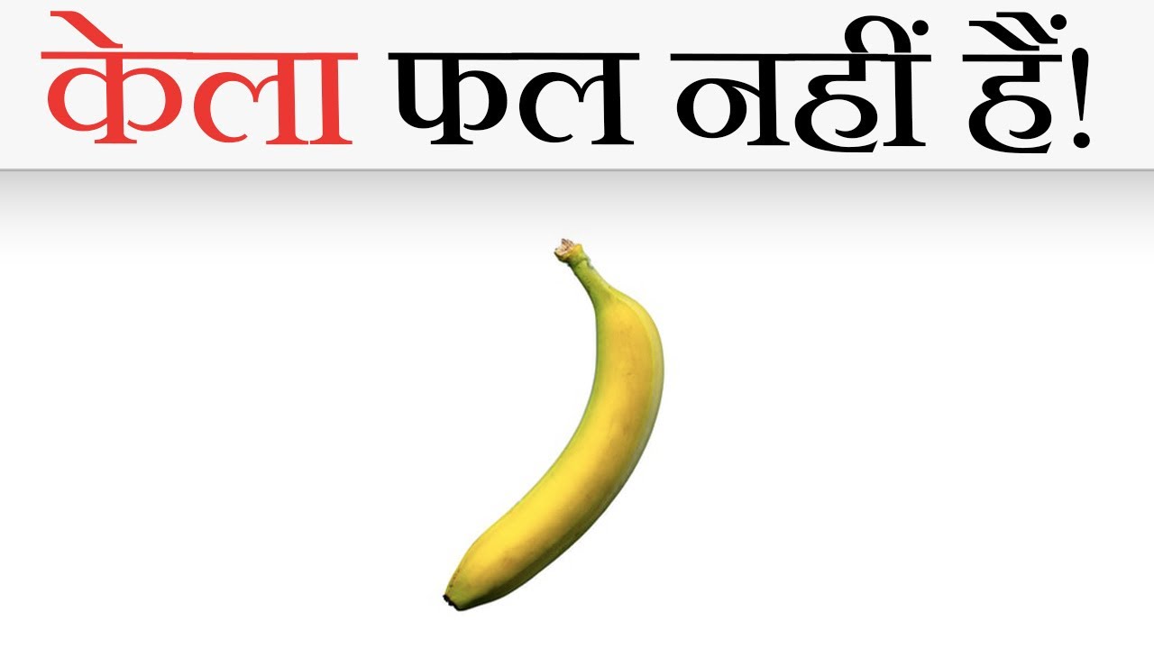 केला फल नहीं हैं तो क्या है? Interesting Facts about Banana (in Hindi