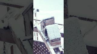 Every Thing Is Is Frosty In My Back Yard