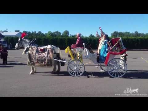 How to enter your Indian wedding! Horse Drawn Carriage - Indian Wedding Carriage 10