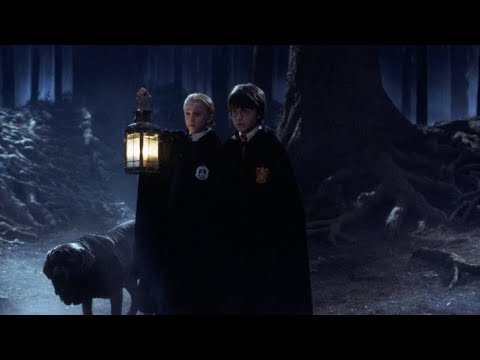 Harry,Draco,Hermione, Ron Yasak Ormanda Cezalılar | Harry Potter Felsefe Taşı