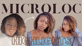 Adding Blonde Highlights to My Microlocs | Dyeing Microlocs | D.I.Y. Microlocs