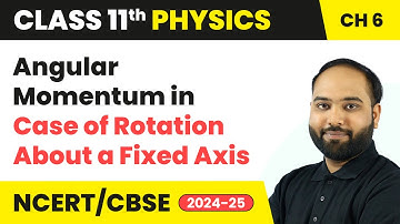 Angular Momentum in Case of Rotation About a Fixed Axis | Class 11 Physics Chapter 6 | CBSE 2025-26