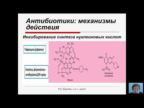 Video: Biosinteza Amfotericina B U Streptomyces Nodosusu: Kvantitativna Analiza Metabolizma Metabolomikom Zasnovanom Na LC – MS / MS Za Racionalno Oblikovanje