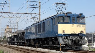 たけし化中 EF64とEF65の3種盛り たけし様 専用化中 EF64とEF65の3種盛り