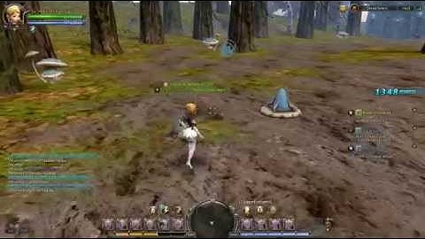 Dragon Nest NA Dread Forest