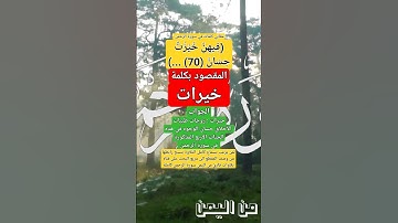 فهم معنى خيرات حسان في الآية 70 لمقطع من تلاوة سورة الرحمن#قناة_تلاوات_قارئ_من_اليمن