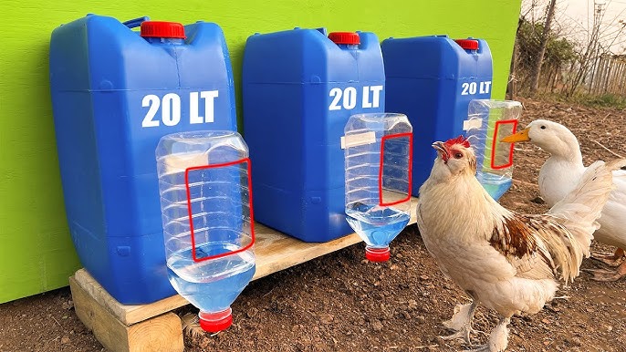 Как смастерить «долгоиграющую» автоматическую поилку и кормушку для домашней птицы из ПЭТ бутылей