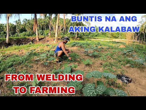 Galing welding,deritso sa bukid | silip sa garden at mga kalabaw.May buntis na may napakinabangan na
