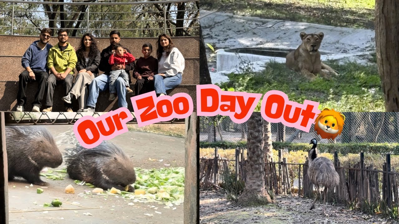Zoo Vlog with My Siblings 🌸Full Family Masti at Chhatbir Zoo 🐯❤️