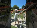 Marble Run ☆ Summer Vacation Dragon Ball Run①