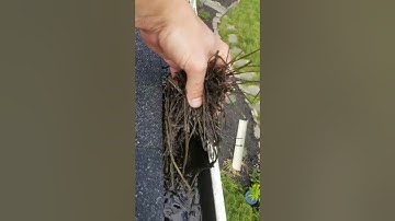 Some more Gutter Helmet fails