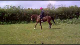 Boo flat work