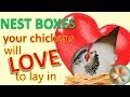 10 top tips for nest boxes your hens will love to lay in