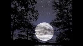 Mecano - Hijo de la luna (Orchestral version )