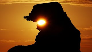 ゴジラ、夕日と共演