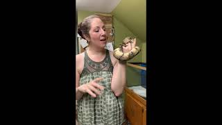 Creature Feature - Sensational Snakes