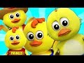 cinque piccoli pulcini | filastrocche | Musica per Bambini | Five Little Chicks | Farmees Italiano