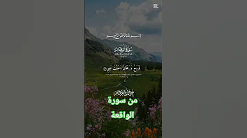 الشيخ عبد الباسط عبد الصمد 