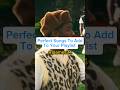 Perfect songs to add to your playlist pt. 5 #music #hiphop #rap #tylerthecreator #cmiygl