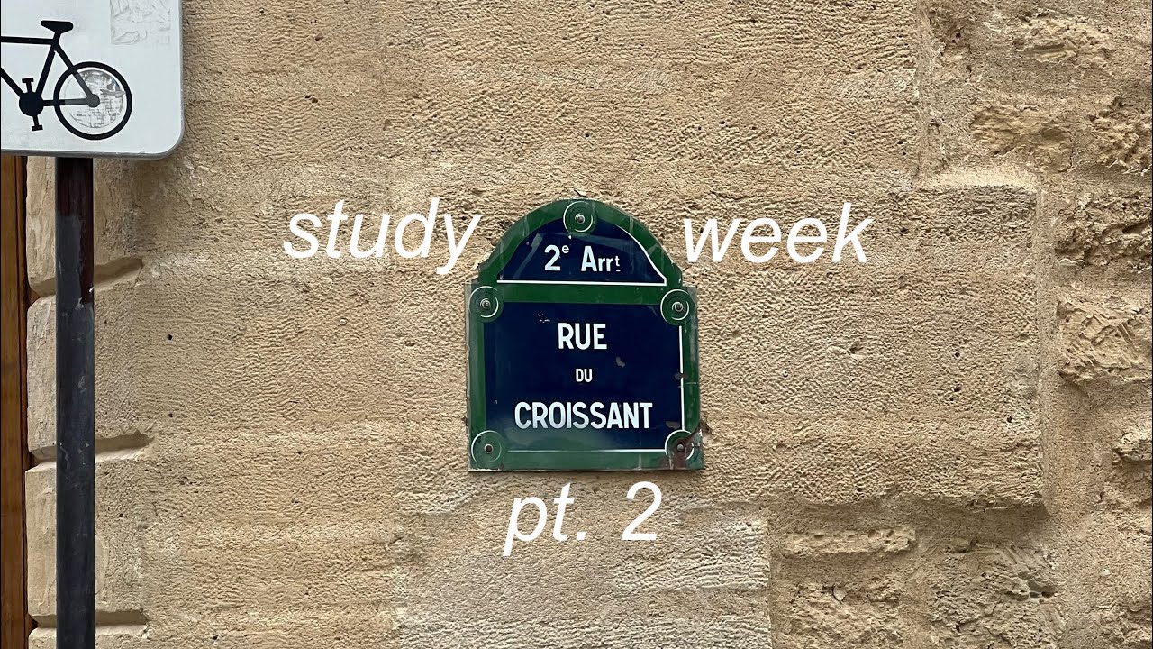 study week vlog pt.2