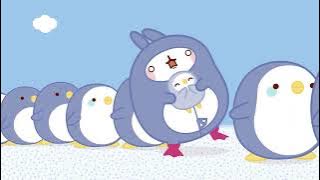 Molang - The Penguin 🐧 Compilation For Kids