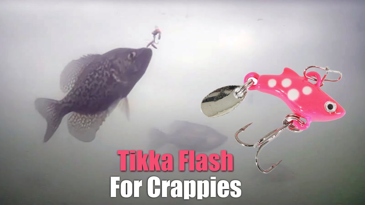 Clam Tikka Flash - Glow Perch - 1/32 oz.