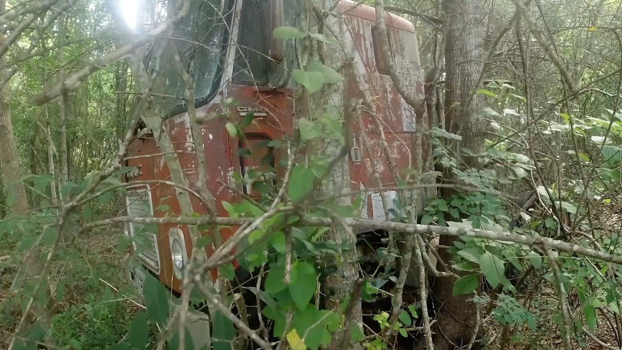 Will It Start?1978 GMC ASTRO Sitting 40 Years (Maybe Next VID)