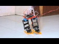 6 DOF Biped Humanoid Robot with multitasking capabilities