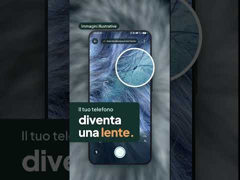 Immagine screenshot