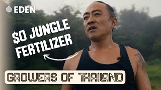 Cannabis From The Jungle | Growers of Thailand | Episode 2