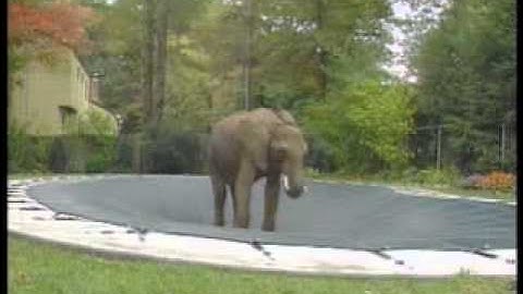 Loop Loc Safety Cover Demonstration